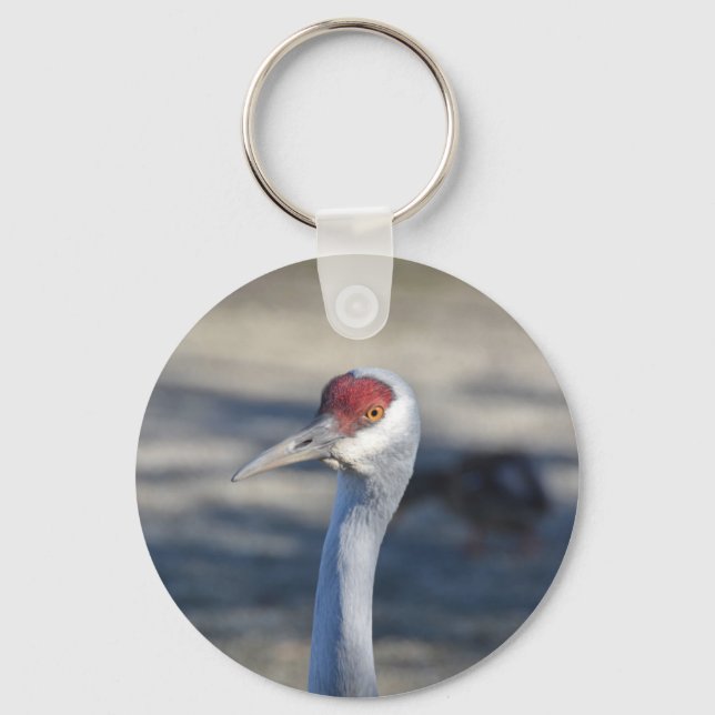 Chaveiro Sandhill Crane (Frente)