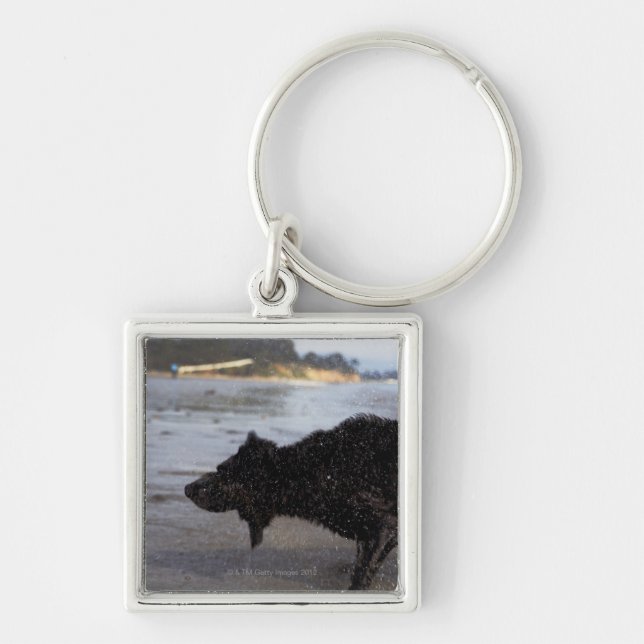 Chaveiro Santa Barbara, Califórnia, EUA (Frente)