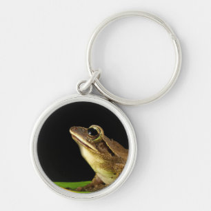 Chaveiro Sapo comum em folha