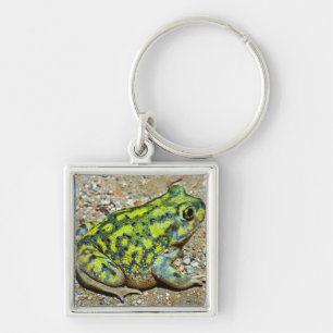 Chaveiro Sapo de Spadefoot de um sofá