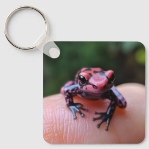 Chaveiro Sapo vermelho
