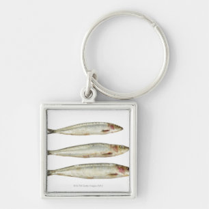 Chaveiro Sardinhas (sardinhas) 2