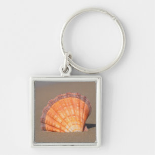 Chaveiro Scallop Shell Crete, piscina