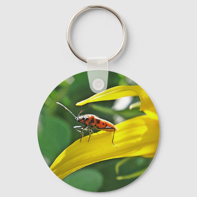 Chaveiro Schlüsselanhänger Roter Punktekäfer (Frente)