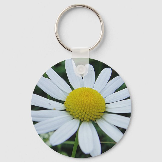 Chaveiro Schlüsselanhänger weisse Margerite (Frente)
