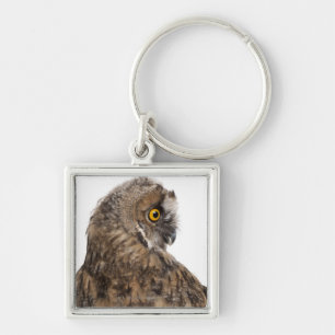 Chaveiro Scops-coruja euro-asiática - scops do Otus (2