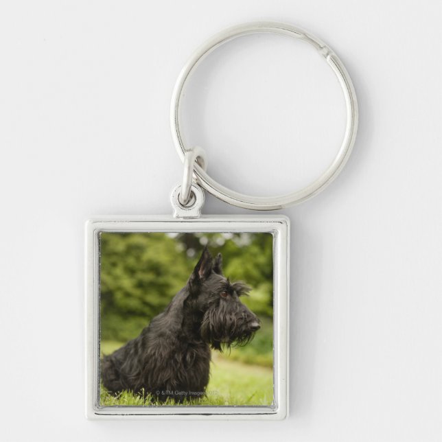 Chaveiro Scottish Terrier (Frente)