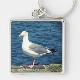 Chaveiro Seagull No Compartimento