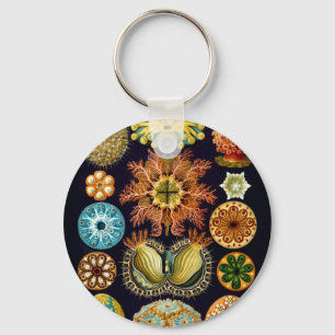 Chaveiro Sealife aquático Ernst Haeckel Ascidiae A01