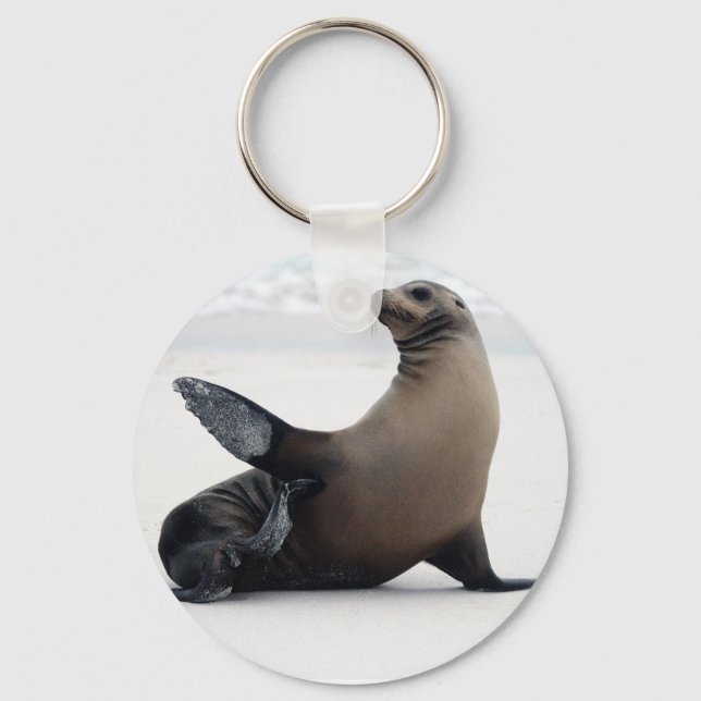 Chaveiro Sealion (Frente)