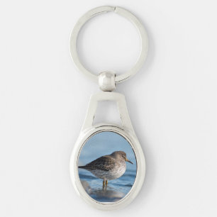 Chaveiro Searing Rock Sandpiper