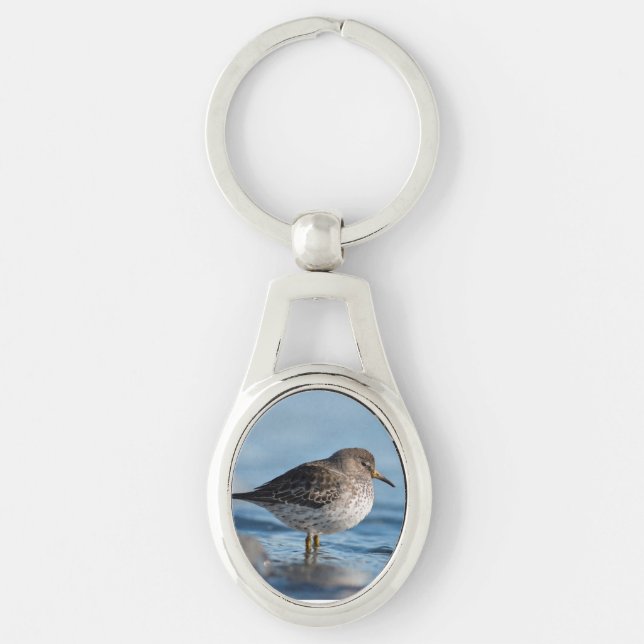 Chaveiro Searing Rock Sandpiper (Frente)