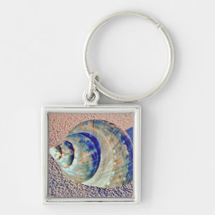 Chaveiro Seashell de Welk do mar