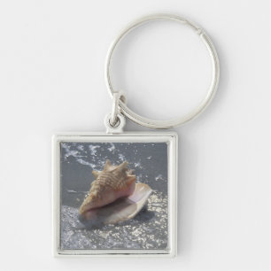 Chaveiro Seashell na ilha da praia Sanibel, Florida