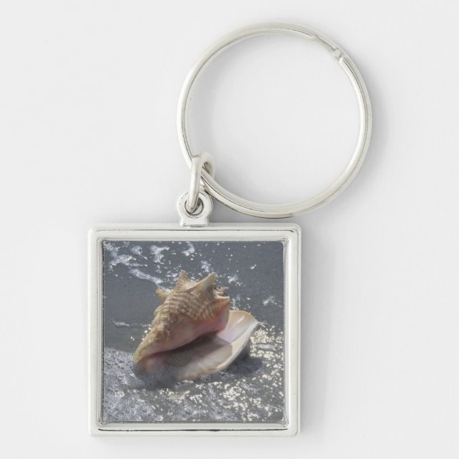 Chaveiro Seashell na ilha da praia | Sanibel, Florida (Frente)