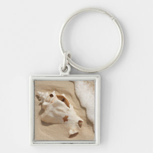 Chaveiro Seashell na ilha das Caraíbas grande do turco da