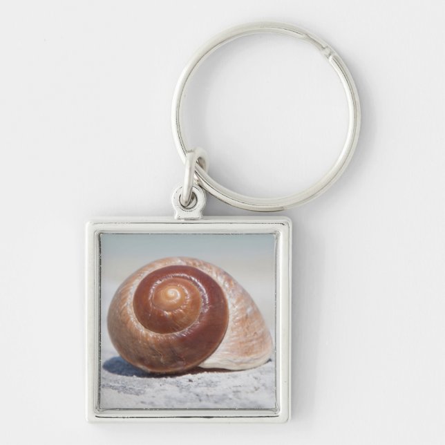 Chaveiro Seashell na praia | St Petersburg, Fl (Frente)