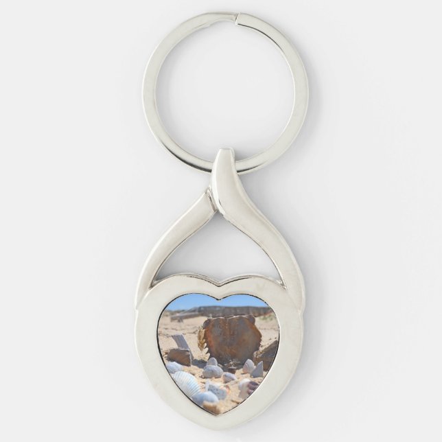 Chaveiro Seashells on Beach por Shirley Taylor (Frente)
