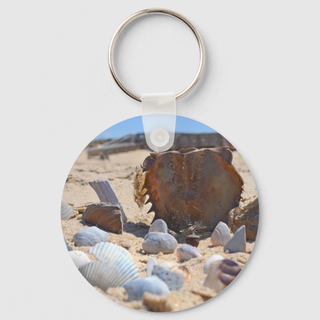 Chaveiro Seashells on Beach por Shirley Taylor (Frente)