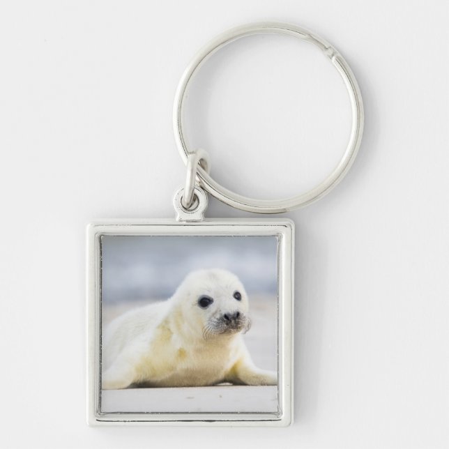 Chaveiro Selo de bebê das imagens | de Getty (Frente)