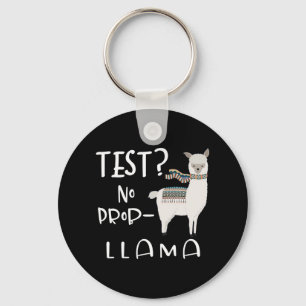 Chaveiro - Sem Teste Prob-llama Professor Educador Engraçad