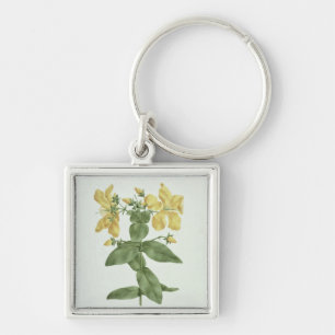 Chaveiro Sensação-Esforço (quartinianum do Hypericum) (w