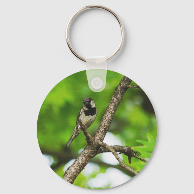 Chaveiro Sentado Por Aí (Frente)