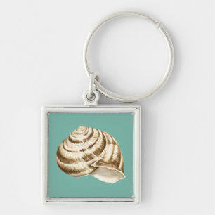 Chaveiro Sepia Striped Shell em Teal