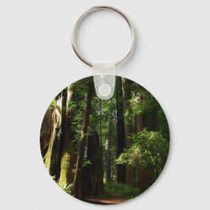 Chaveiro Sequoias e Fernos no Parque Nacional de Redwood