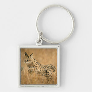 Chaveiro Serval (Leptailurus Serval) Saltando