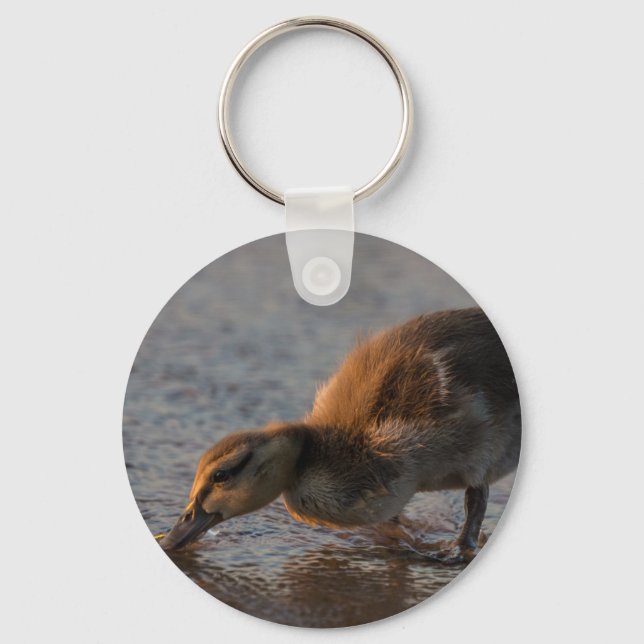 Chaveiro Sesty Baby (Frente)