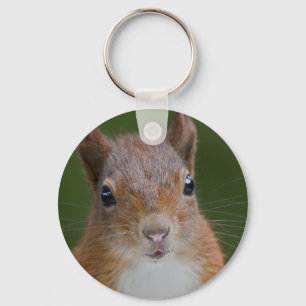 Chaveiro Sesty Squirrel Keyring