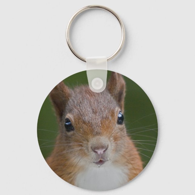 Chaveiro Sesty Squirrel Keyring (Frente)
