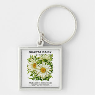 Chaveiro Shasta Daisy Vintage Seed Packet