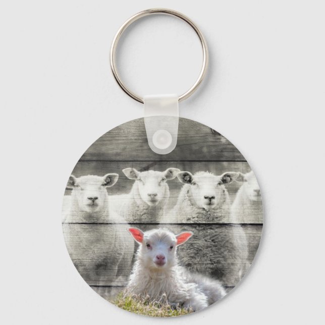 Chaveiro Sheep Flock Baby Lamb (Frente)