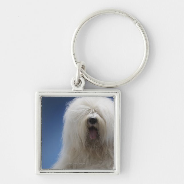 Chaveiro Sheepdog (Frente)