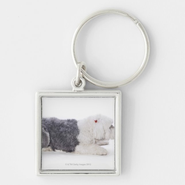 Chaveiro Sheepdog inglês velho no fundo branco (Frente)