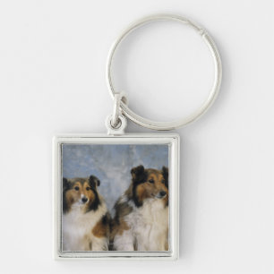 Chaveiro Sheepdogs de Shetland