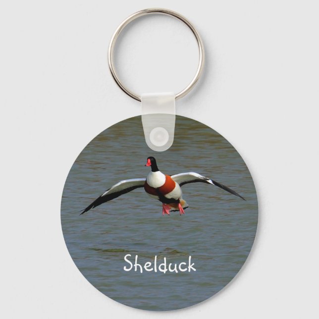 Chaveiro Shelduck (Frente)