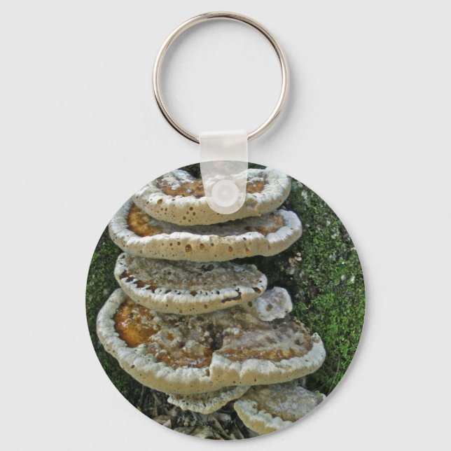 Chaveiro Shelf Fungi em Stump (Frente)