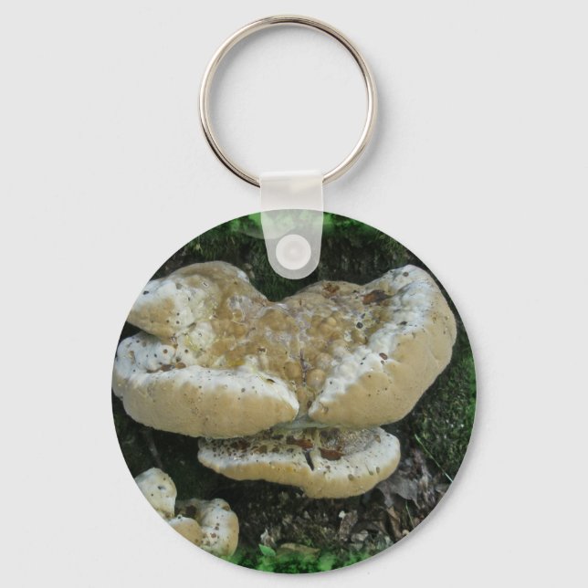 Chaveiro Shelf Fungi em Stump (Frente)
