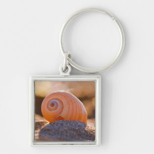 Chaveiro Shell Bokeh  Greece