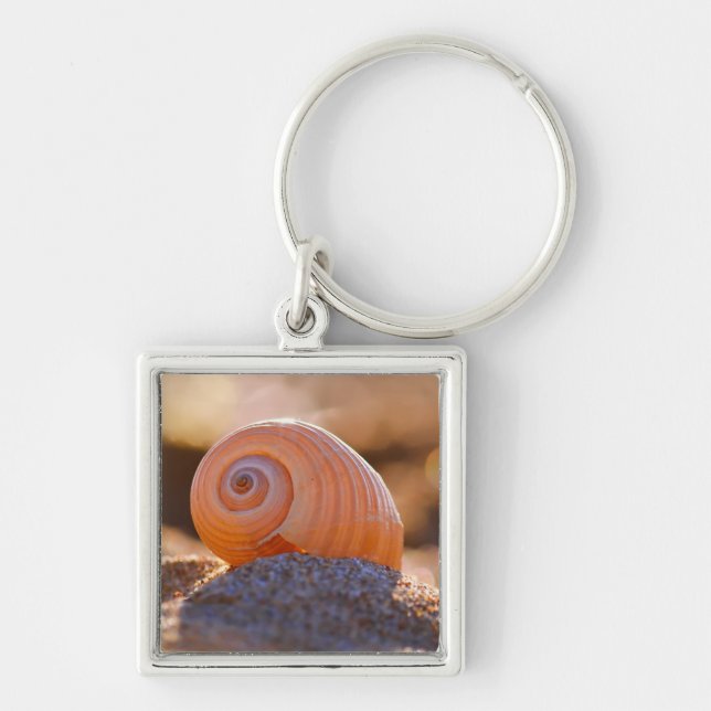 Chaveiro Shell Bokeh |Greece (Frente)
