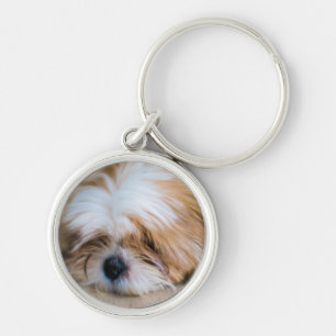 Chaveiro Shih Tzu