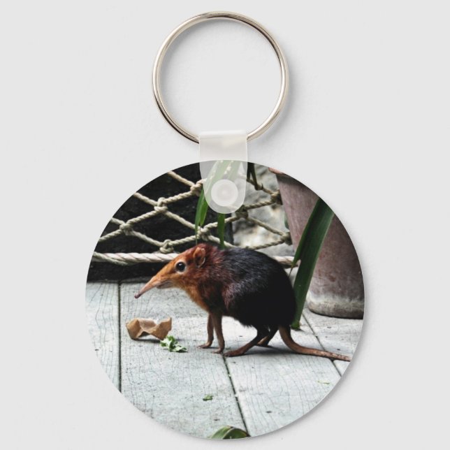 Chaveiro Shrew Elefante Negro e Rufo (Frente)