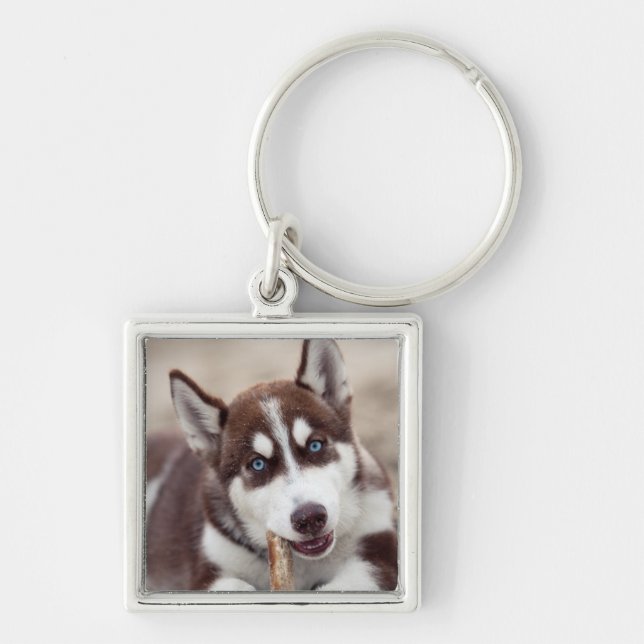 Chaveiro Siberian Husky Puppy na praia (Frente)