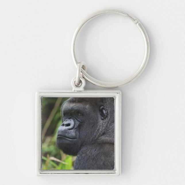 Chaveiro Silverback Lowland Gorilla, Gorilla Captive (Frente)