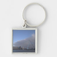 Skyline de Rotterdam