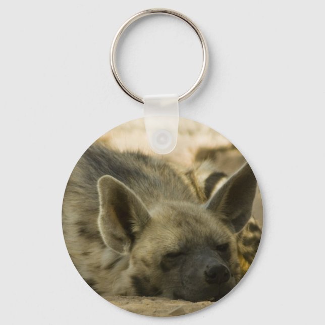 Chaveiro Sleeping Hyena  Keychain (Frente)