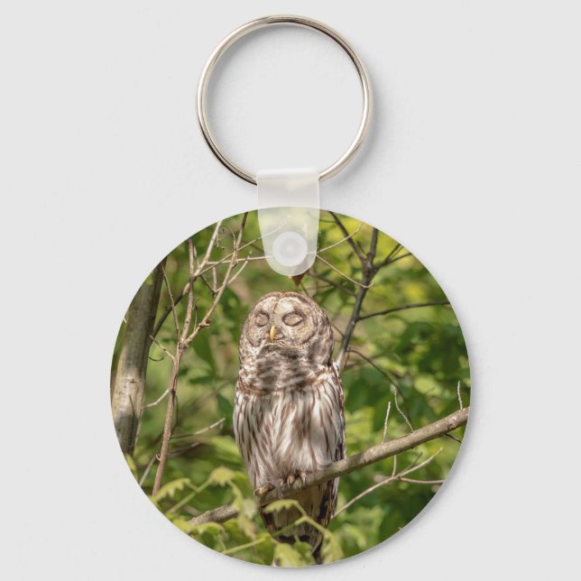 Chaveiro Sleepy Barred Owl (Frente)